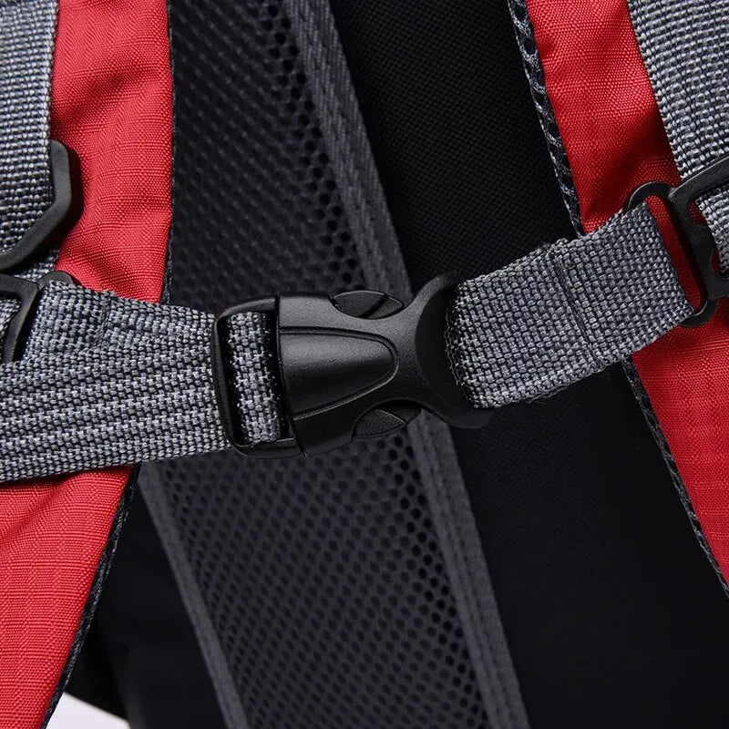 Outdoor Travel Backpack Big